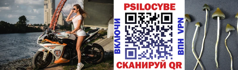 Псилоцибиновые грибы Psilocybine cubensis  Лодейное Поле 