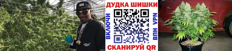Марихуана SATIVA & INDICA  ОМГ ОМГ ссылка  Лодейное Поле 